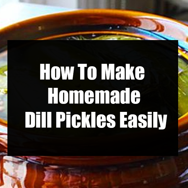 How To Make Homemade Dill Pickles Easily