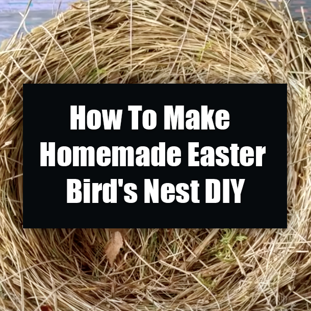 How To Make Homemade Easter Bird's Nest DIY