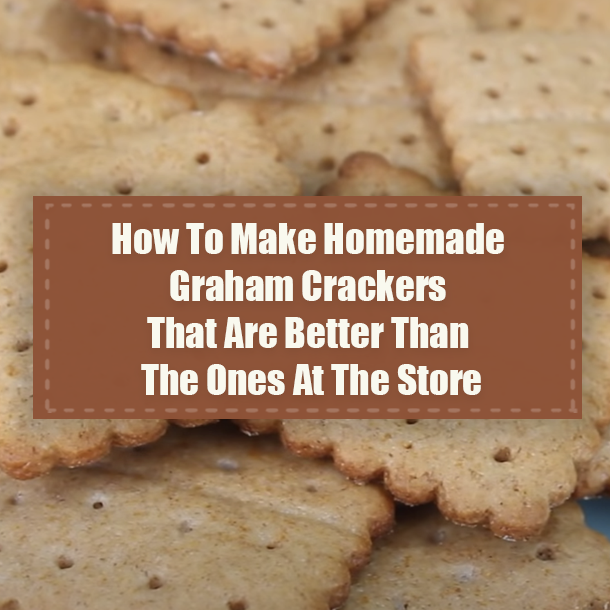 How To Make Homemade Graham Crackers That Are Better Than The Ones At The Store