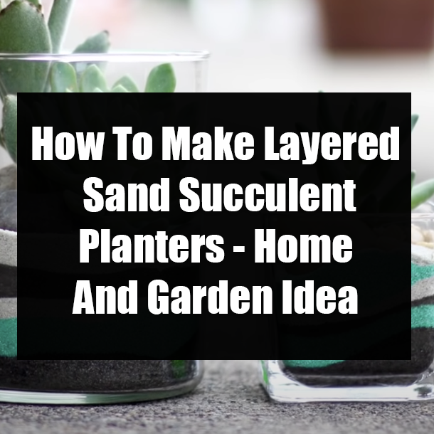 How To Make Layered Sand Succulent Planters - Home And Garden Idea