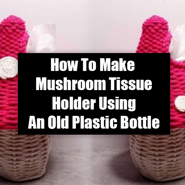 How To Make Mushroom Tissue Holder Using An Old Plastic Bottle