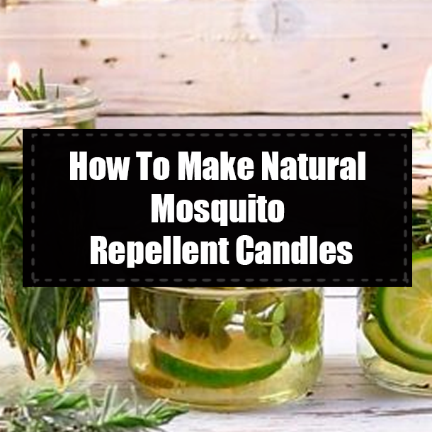 How To Make Natural Mosquito Repellent Candles