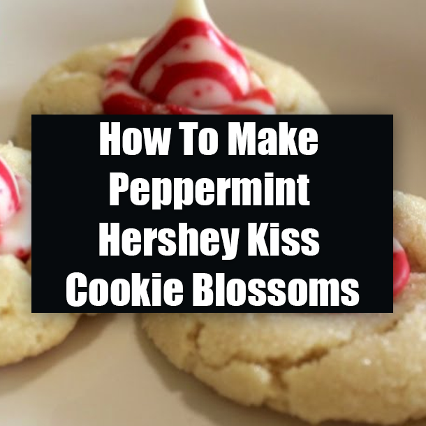 How To Make Peppermint Hershey Kiss Cookie Blossoms