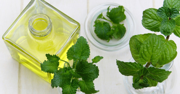 How To Make Peppermint Oil Help You Stop Eating Junk Food And Instead Burn Tons Of Extra Calories - picture 2