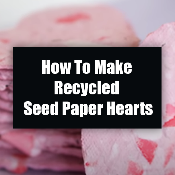 How To Make Recycled Seed Paper Hearts