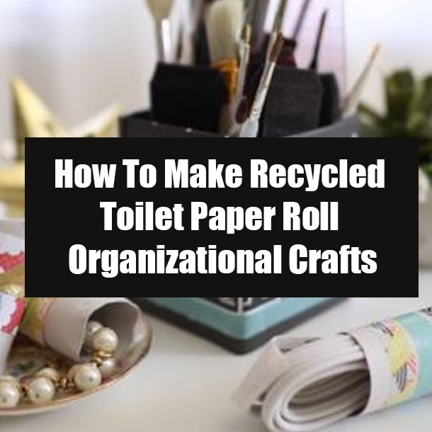 How To Make Recycled Toilet Paper Roll Organizational Crafts