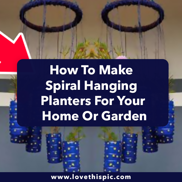 How To Make Spiral Hanging Planters For Your Home Or Garden