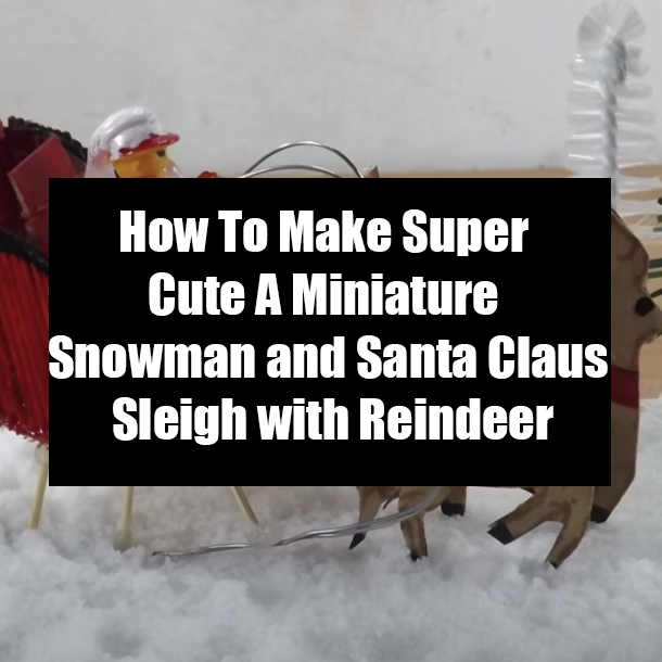 How To Make Super Cute A Miniature Snowman and Santa Claus Sleigh with Reindeer