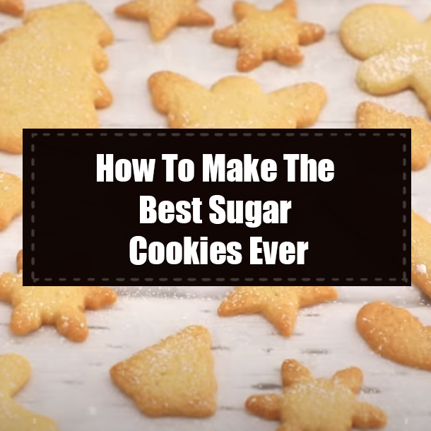 How To Make The Best Sugar Cookies Ever