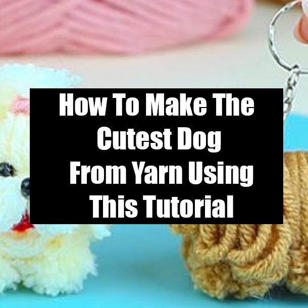 How To Make The Cutest Dog From Yarn Using This Tutorial