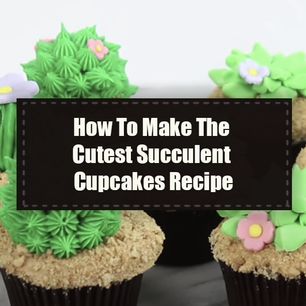 How To Make The Cutest Succulent Cupcakes Recipe