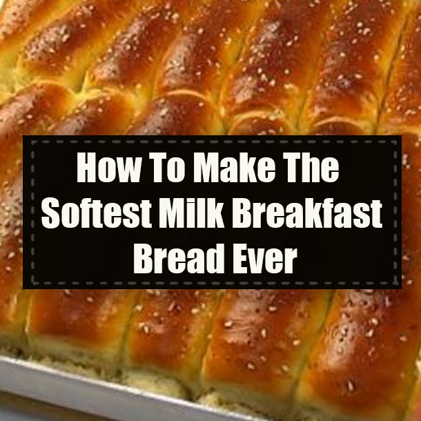 How To Make The Softest Milk Breakfast Bread Ever
