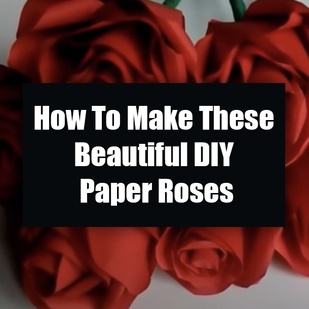 How To Make These Beautiful DIY Paper Roses