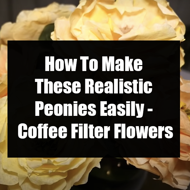 How To Make These Realistic Peonies Easily - Coffee Filter Flowers