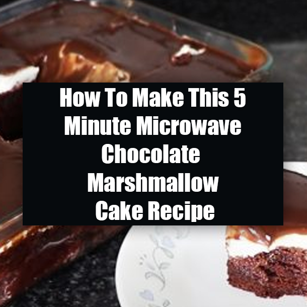 How To Make This 5 Minute Microwave Chocolate Marshmallow Cake Recipe