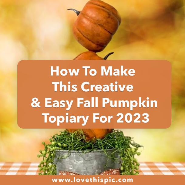 How To Make This Creative & Easy Fall Pumpkin Topiary For 2023