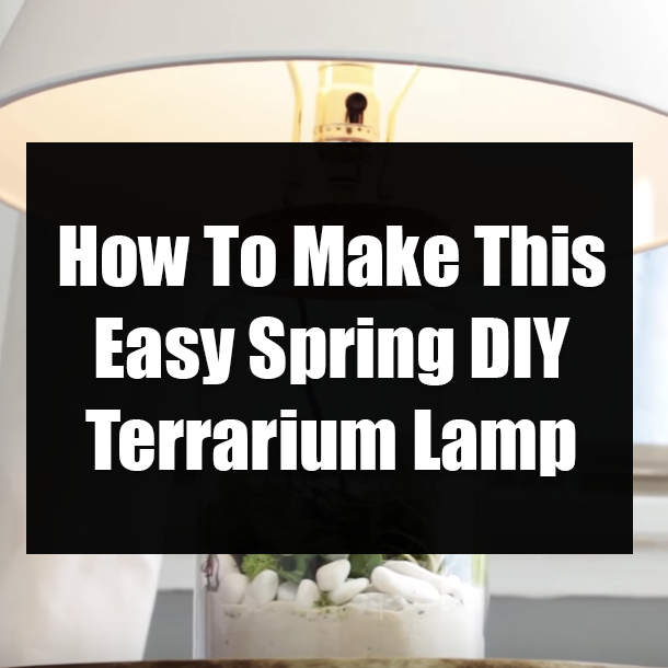 How To Make This Easy Spring DIY Terrarium Lamp