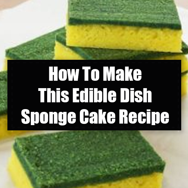 How To Make This Edible Dish Sponge Cake Recipe