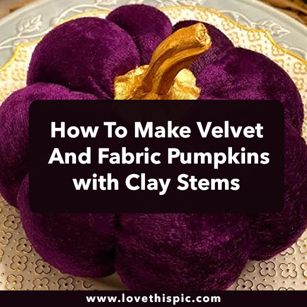 How To Make Velvet And Fabric Pumpkins with Clay Stems