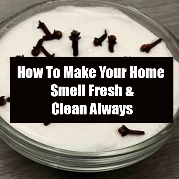 How To Make Your Home Smell Fresh & Clean Always