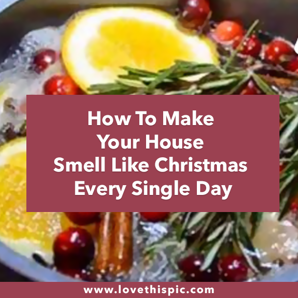 How To Make Your House Smell Like Christmas Every Single Day