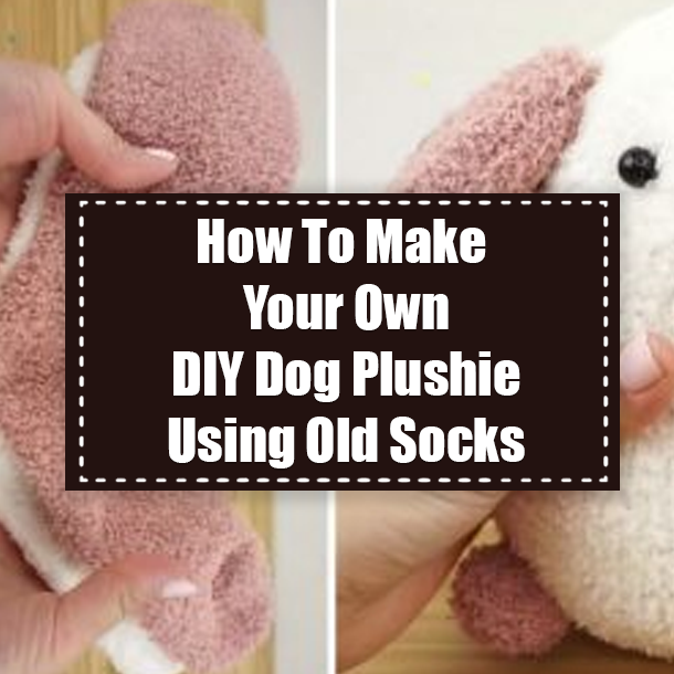 How To Make Your Own DIY Dog Plushie Using Old Socks