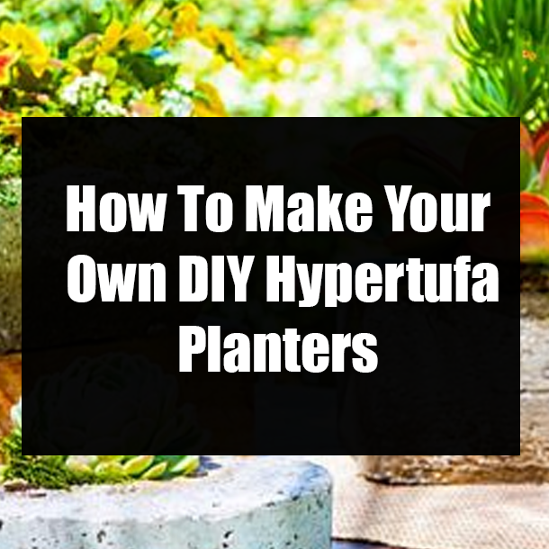 How To Make Your Own DIY Hypertufa Planters