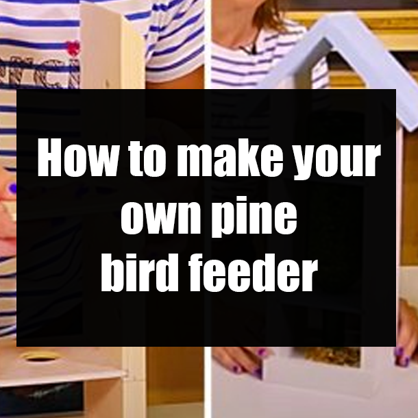 How to make your own pine bird feeder