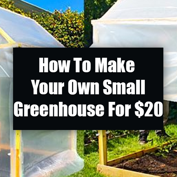 How To Make Your Own Small Greenhouse For $20