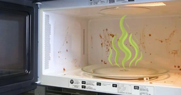 How to Naturally Clean and Eliminate Odors in Your Microwave - picture 2