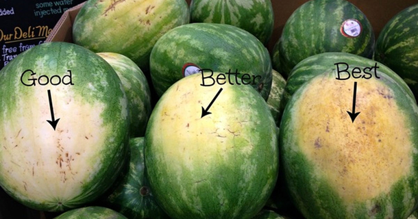 How To Pick The Perfect Watermelon: 5 Key Tips From An Experienced Farmer - picture 2