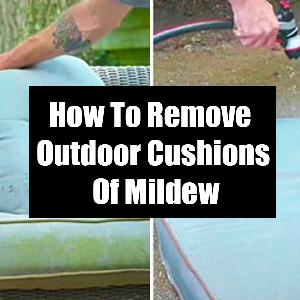How To Remove Outdoor Cushions Of Mildew