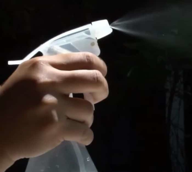 How To Remove Pests Using Dawn Dish Soap - picture 3