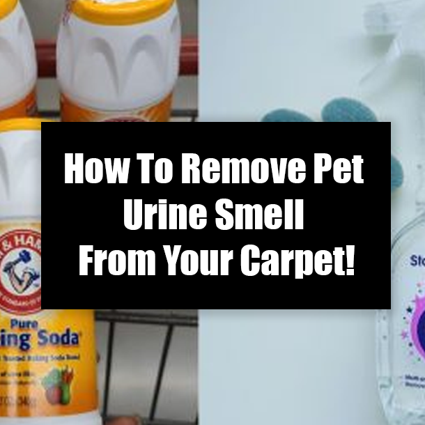 How To Remove Pet Urine Smell From Your Carpet!
