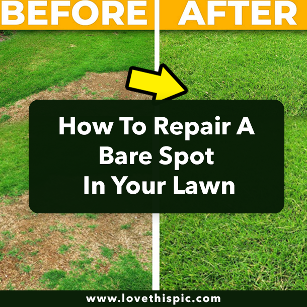 How To Repair A Bare Spot In Your Lawn