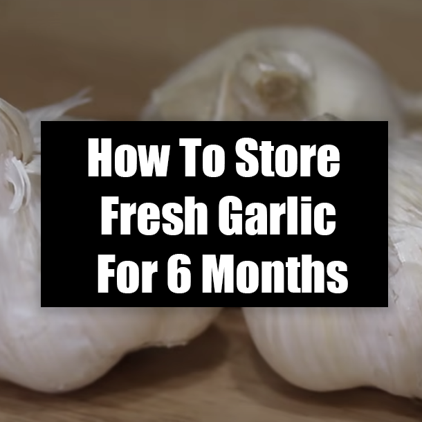 How To Store Fresh Garlic For 6 Months