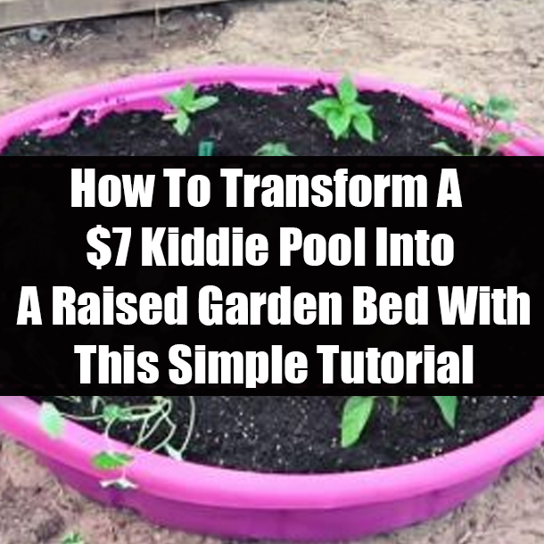 How To Transform A $7 Kiddie Pool Into A Raised Garden Bed With This Simple Tutorial