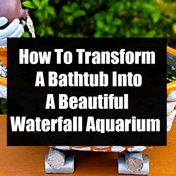 How To Transform A Bathtub Into A Beautiful Waterfall Aquarium