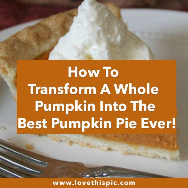 How To Transform A Whole Pumpkin Into The Best Pumpkin Pie Ever!