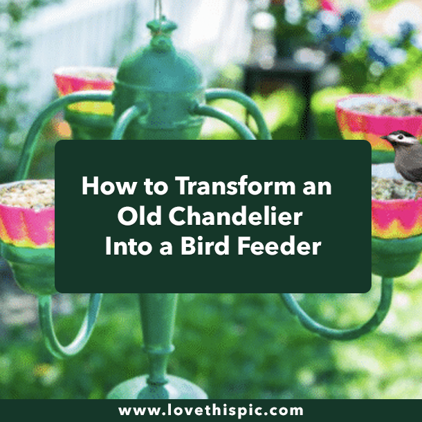 How to Transform an Old Chandelier Into a Bird Feeder