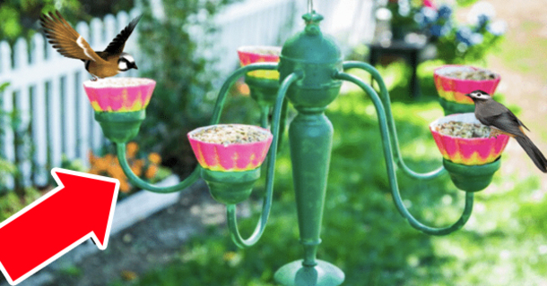 How to Transform an Old Chandelier Into a Bird Feeder - picture 2