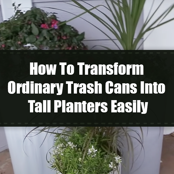 How To Transform Ordinary Trash Cans Into Tall Planters Easily