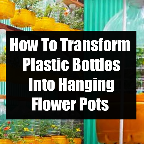 How To Transform Plastic Bottles Into Hanging Flower Pots