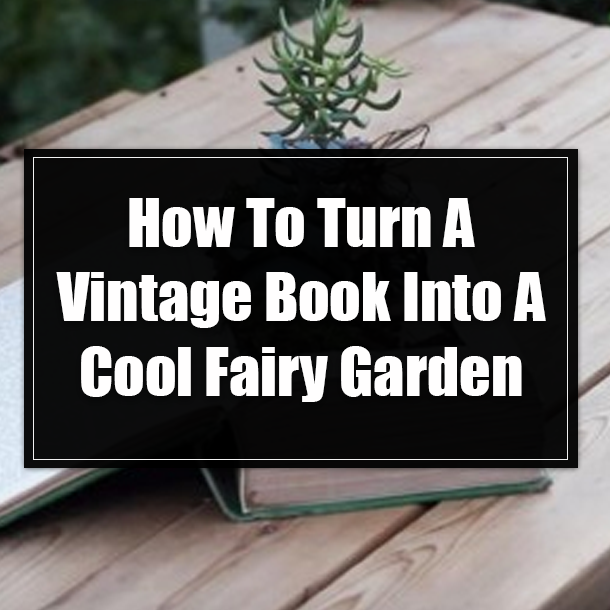 How To Turn A Vintage Book Into A Cool Fairy Garden