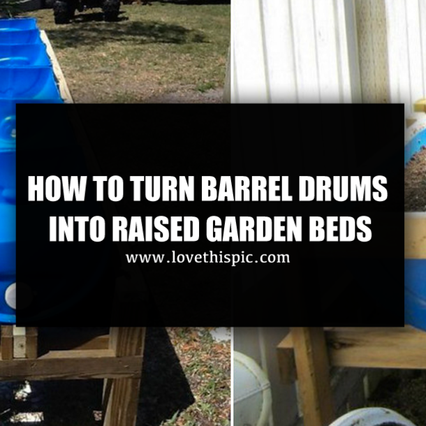 HOW TO TURN BARREL DRUMS INTO RAISED GARDEN BEDS