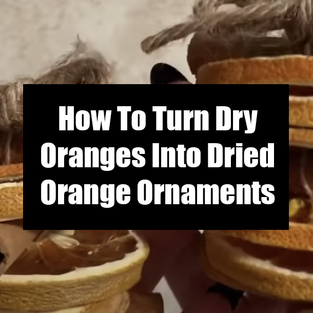 How To Turn Dry Oranges Into Dried Orange Ornaments