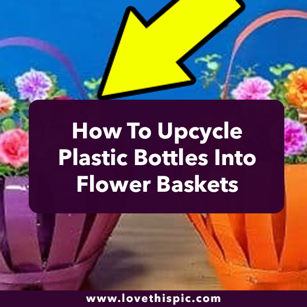 How To Upcycle Plastic Bottles Into Flower Baskets
