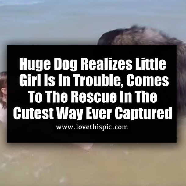 Huge Dog Realizes Little Girl Is In Trouble, Comes To The Rescue In The Cutest Way Ever Captured