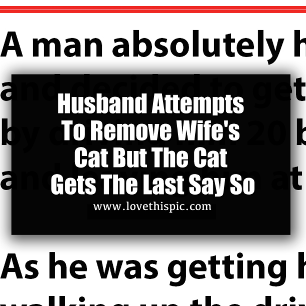 Husband Attempts To Remove Wife's Cat But The Cat Gets The Last Say So