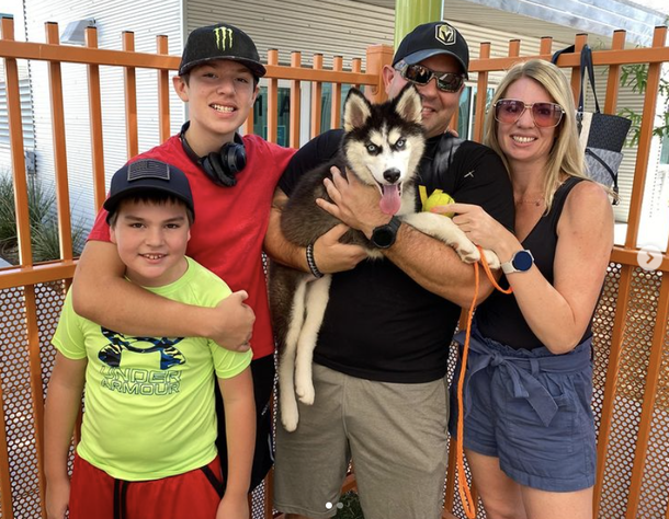 Husky saved from 113-degree car now living an amazing life with new family - picture 2